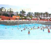 人工造浪產品庫