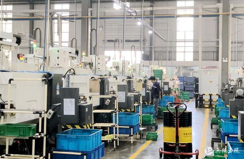 玉商本色，逐浪前行——玉環(huán)工程機(jī)械產(chǎn)業(yè)搶抓機(jī)遇拓市場(chǎng)、趁勢(shì)而上穩(wěn)增長(zhǎng)